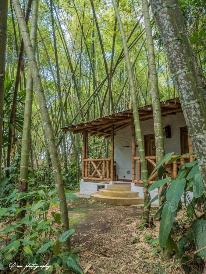 Bosques Del Saman Alcala Hotel